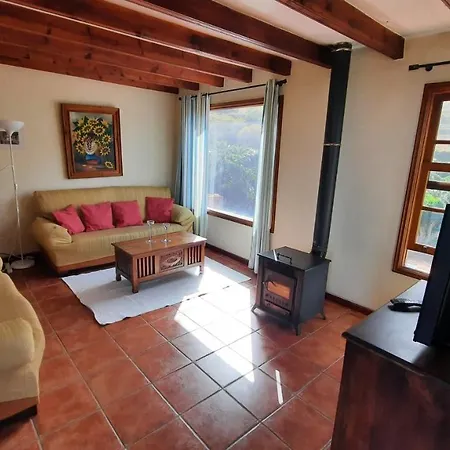 Castanos Los Realejos