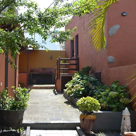 Castanos Los Realejos